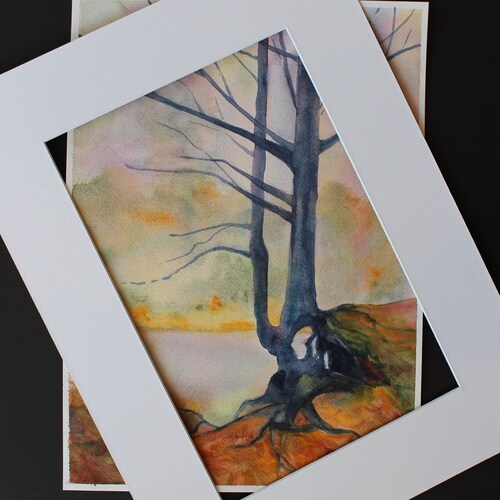 Scenic river edge, forest trail, root erosion, autumn hike, wanderlust, nature lover, pine tree erosion, survival shops adventure, gift for him.