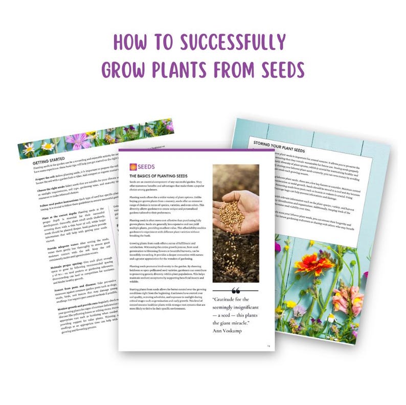 May include: A guide on how to successfully grow plants from seeds. The guide includes information on getting started, the basics of planting seeds, storing plant seeds, and a quote about the seemingly insignificant seed.