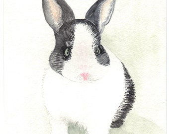 RABBIT watercolor painting limited edition print.  Black and white rabbit with pink nose