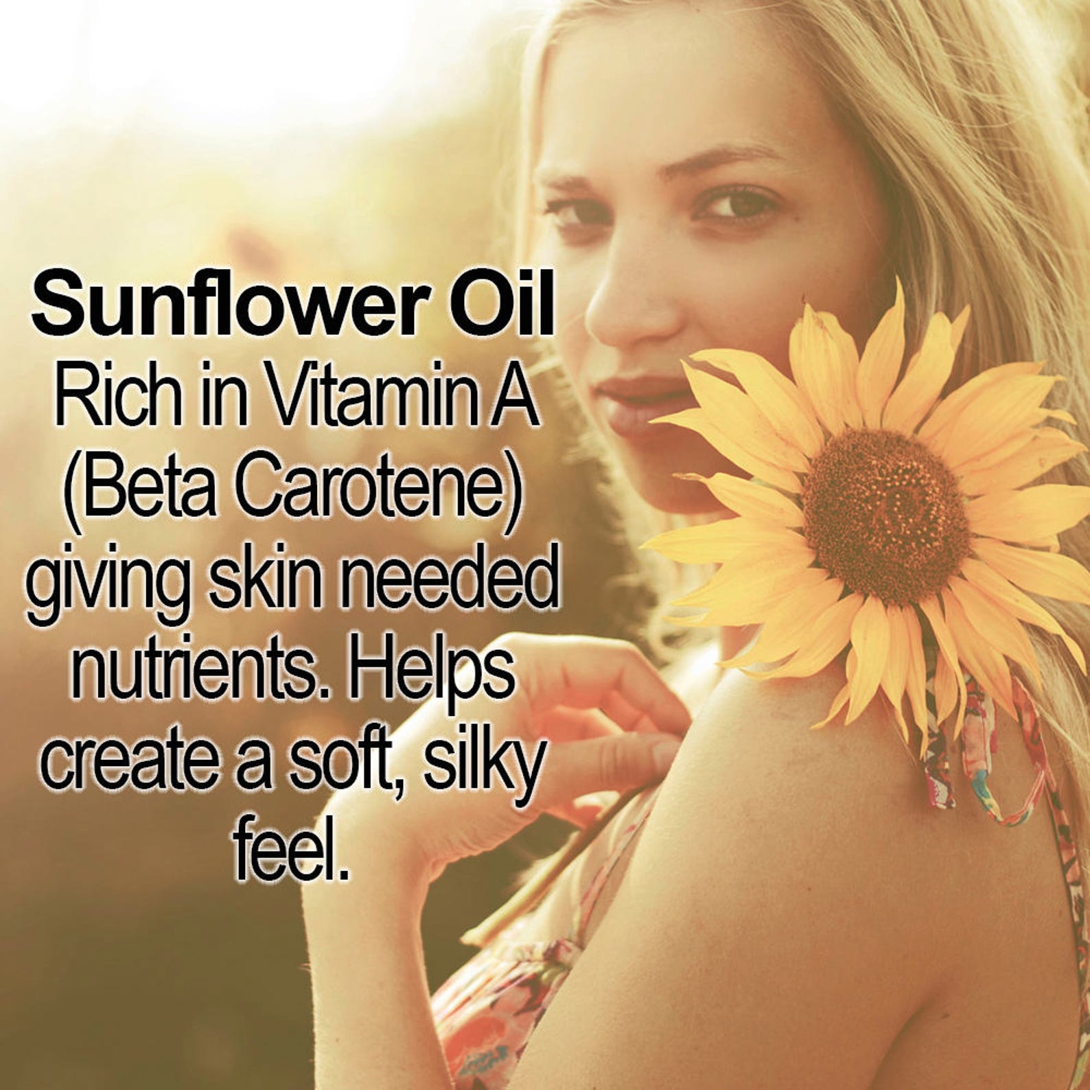 Organic DHA Free DARK Self Tanner 100 Natural Ingredients Etsy