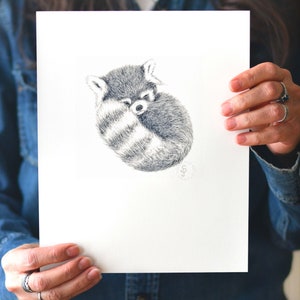 Red Panda Art print. Baby Panda Print signed by the artist. Red panda curled up sleeping. Fluffy tail is in front. This photo is showing the artist holding the print. Baby Shower Gift .Nursery animal art