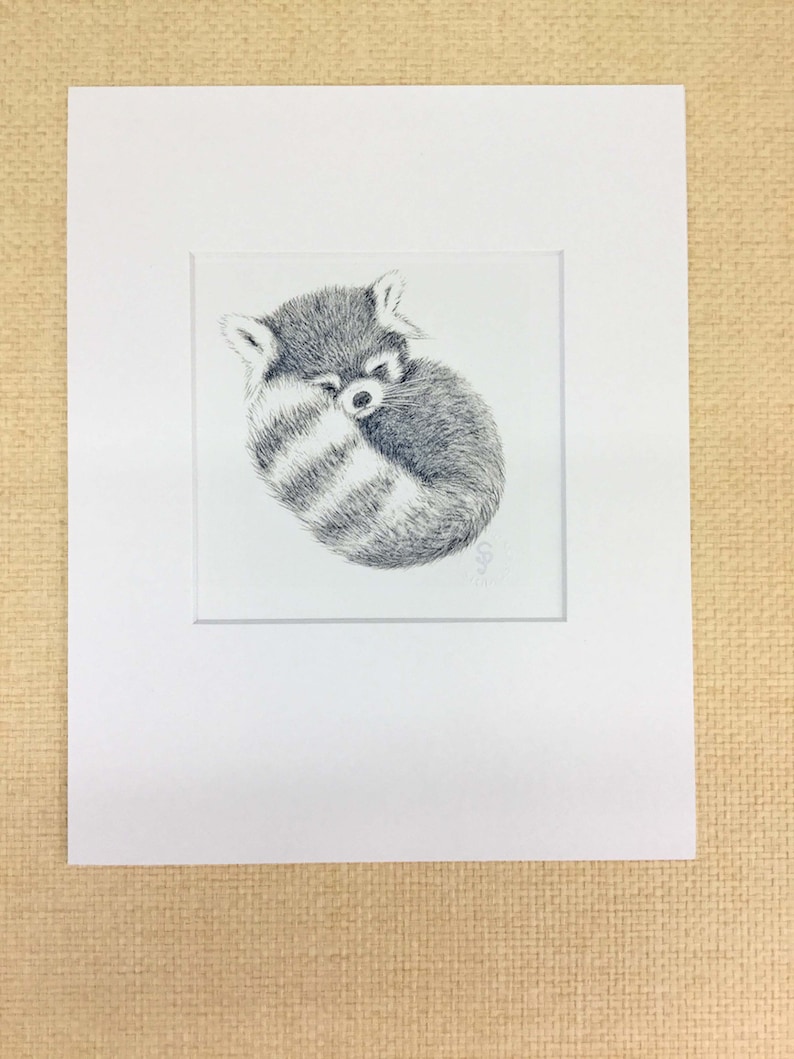Red Panda Art print. Baby Panda Print signed by the artist. Red panda curled up sleeping. Fluffy tail is in front. This photo is showing how the print comes with a custom cut white mat. Makes a great gift for Baby Shower. Nursery animal art