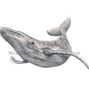 Original Whale art print comes embossed and signed by artist - Humpback whale art for Beach themed decor - New house gift