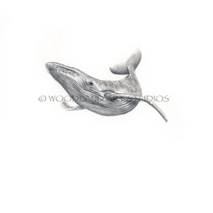 Whale art print - Humpback Whale art - Realistic Whale wall art -Beach themed wall art- Sea animal print - Bathroom decor -Beach house decor