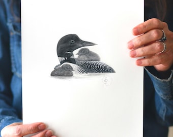 May include: A black and white pencil drawing of a loon with two chicks on its back. The loon is swimming in water and the chicks are nestled in its feathers.