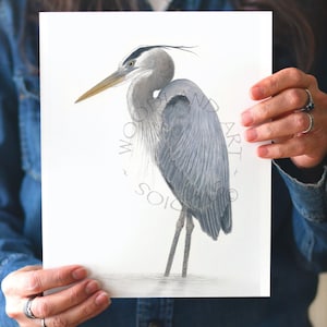 Heron art print - Great blue heron - Heron art signed by the Artist- Original Bird wall art - Gift for Mom -Gift for Sister