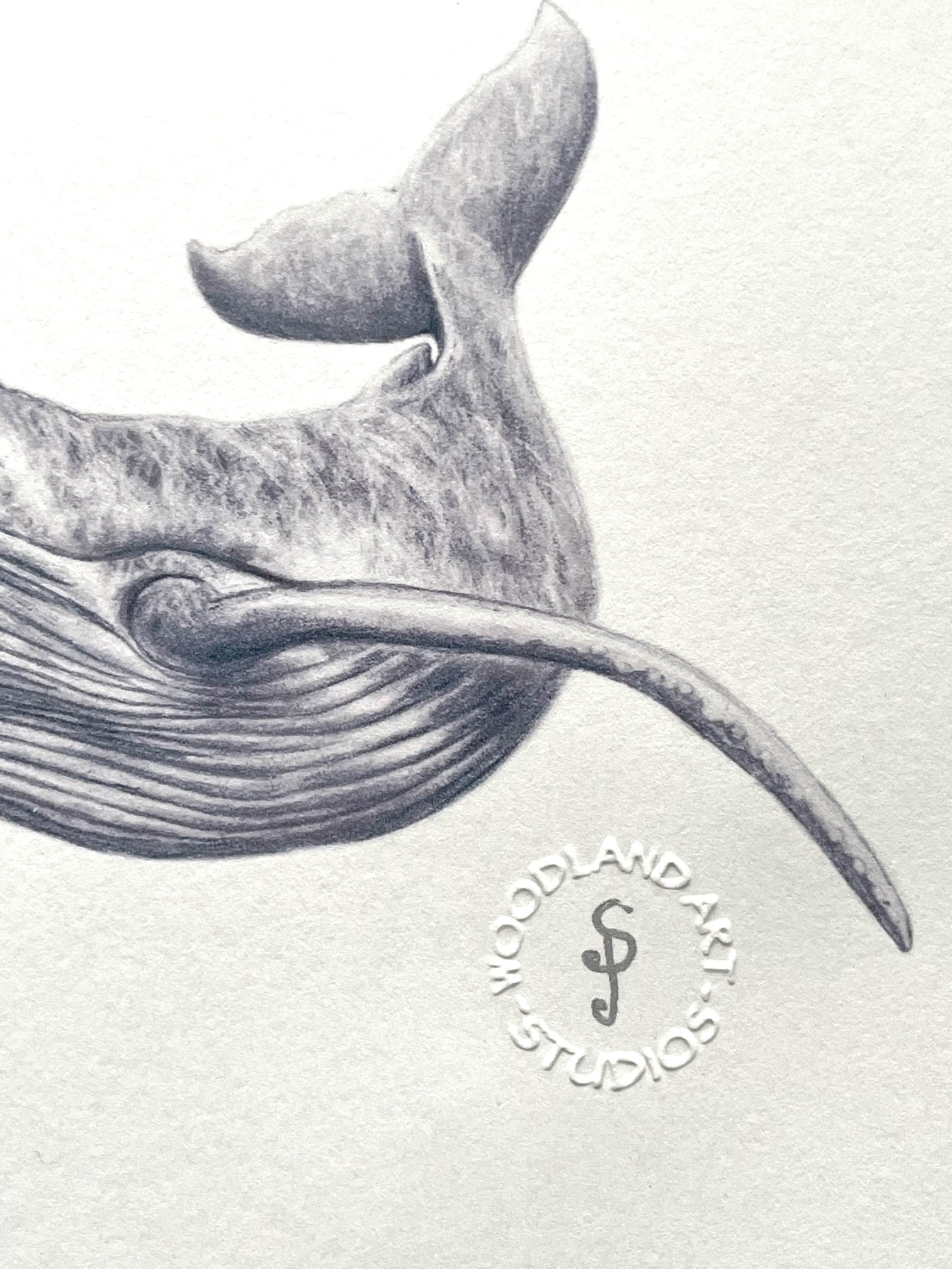 オリジナルのクジラアートプリントは、アーティストによるエンボス加工