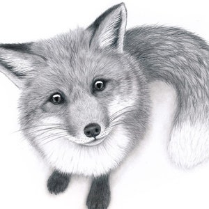 Fox Art Fox Wall Art Original Drawing of a Red Fox Woodland Animal Art ...