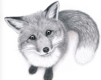 Fox art print - Detailed Red fox drawing signed by the Artist- Boho wall  art -Animal lover gift - Original art -Woodland animal nursery art