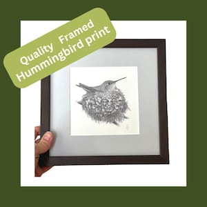 Hummingbird Art Print - Framed Hummingbird artwork in an 8 x 8 frame- Framed Bird wall art signed by artist - New Baby Gift