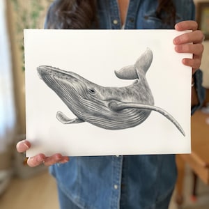 Original Humpback Whale wall art signed by the artist- 12" x 9" detailed graphite Whale drawing - Beach themed art - Sea animal print