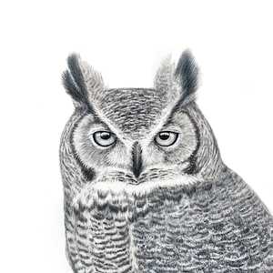 Great Horned Owl art print -Black & white Owl wall art -Original art print comes signed by the artist -Gift for birder- available in 2 sizes