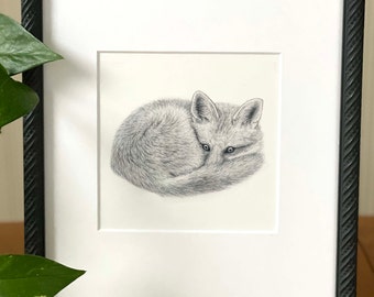 Fox art print - animal art -Original Red fox drawing signed by the Artist- Animal lover gift - cute fox drawing - Quality Art Print gift