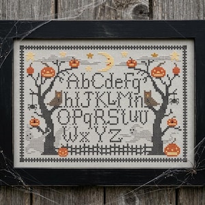 Op de afbeelding: Een ingelijste kruissteek sampler op lichte stof met een zwart alfabet van A tot Z, twee zwarte bomen, oranje pompoenen, bruine uilen, een gele maansikkel, sterren en spinnen, alles gevat in een eenvoudige zwarte houten lijst.