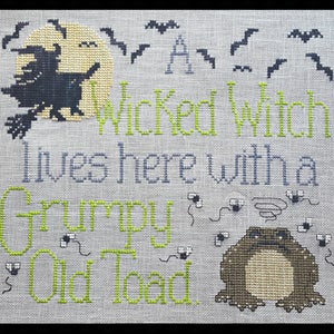 Wicked Witch & Grumpy Toad; Pattern for Counted Cross Stitch; Instant Download PDF file; Funny Saying for Halloween