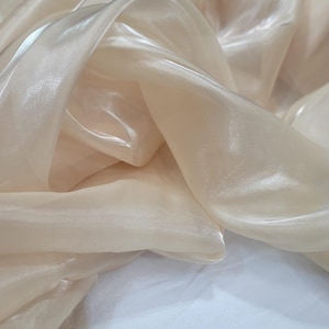 May include: A sheer, iridescent fabric in a pale beige color. The fabric is draped and folded, showcasing its texture and shimmer.