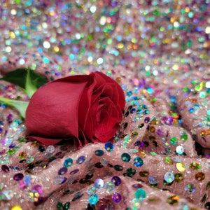 May include: A vibrant red rose rests on a shimmering, sequined fabric. The fabric is a soft pink, covered in iridescent sequins that catch the light. The rose is in full bloom, with its petals tightly furled.