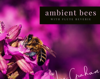 Ambient Bees with Flute Reverie Digital Download [Album]