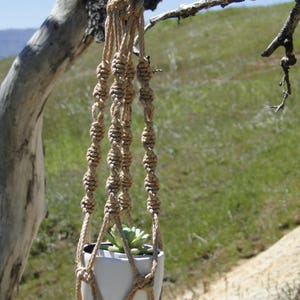 May include: A macrame plant hanger made of natural jute rope with a white ceramic pot and a small green succulent plant inside.