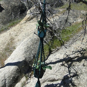 Double plant hanger green