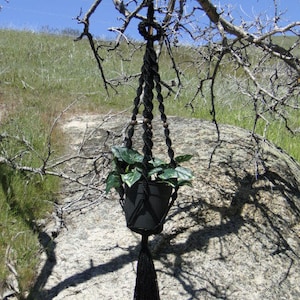 May include: A black macramé plant hanger with a potted plant, suspended from a tree branch. The plant has green leaves. The hanger is made of knotted rope and features wooden beads. The background includes a large rock, grass, and a blue sky.
