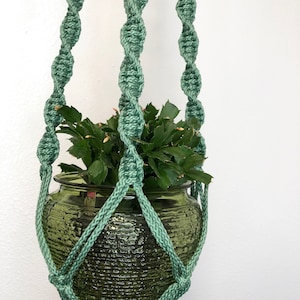 May include: A green macrame plant hanger with a green glass pot and a small green plant inside.