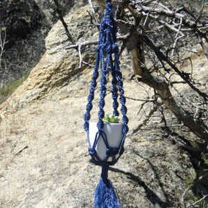 May include: A blue macrame plant hanger with a white pot and a small green plant inside. The hanger is hanging from a branch of a tree.