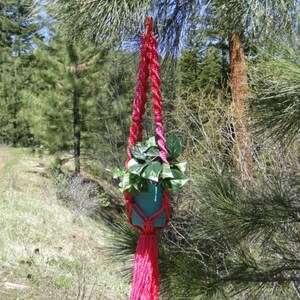Pink and red plant hanger