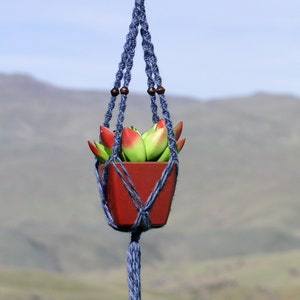 May include: A blue macrame plant hanger with a red pot and green succulent plant hanging from a metal hook.