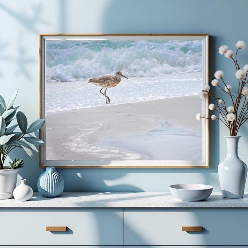 Sandpiper Print | Coastal Bird Wall Art | Beach Photography | Florida ...