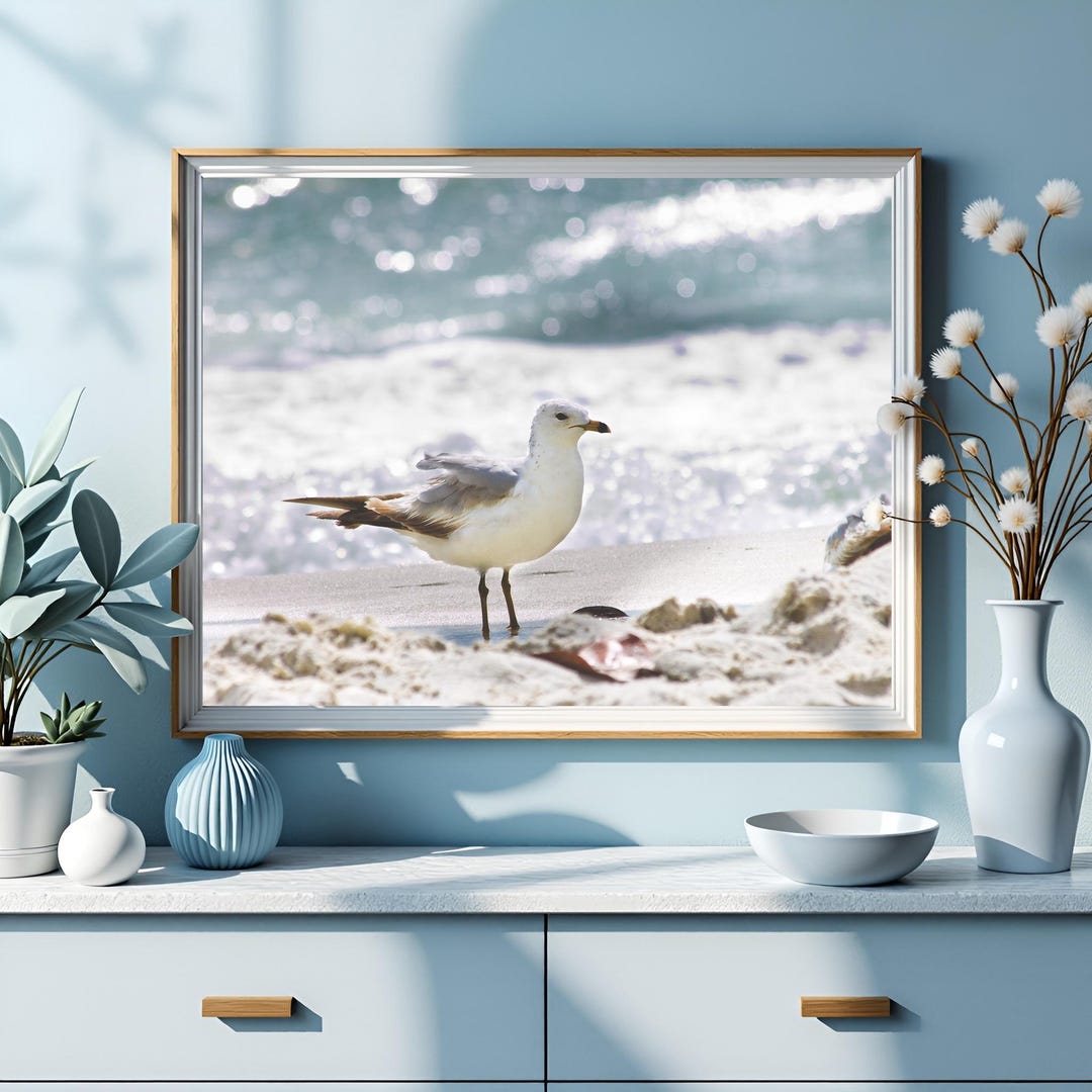 Seagull Beach Print | Coastal Bird Wall Art | Naples Florida Beach ...