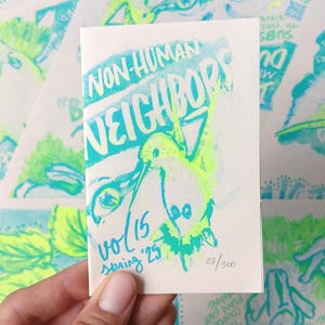Puede incluir: Una pequeña impresión artística rectangular con el texto "NON-HUMAN NEIGHBORS" en color turquesa y una ilustración de colibrí verde neón. La impresión también incluye "Vol 15 Spring '25" y el número de edición 23/300.