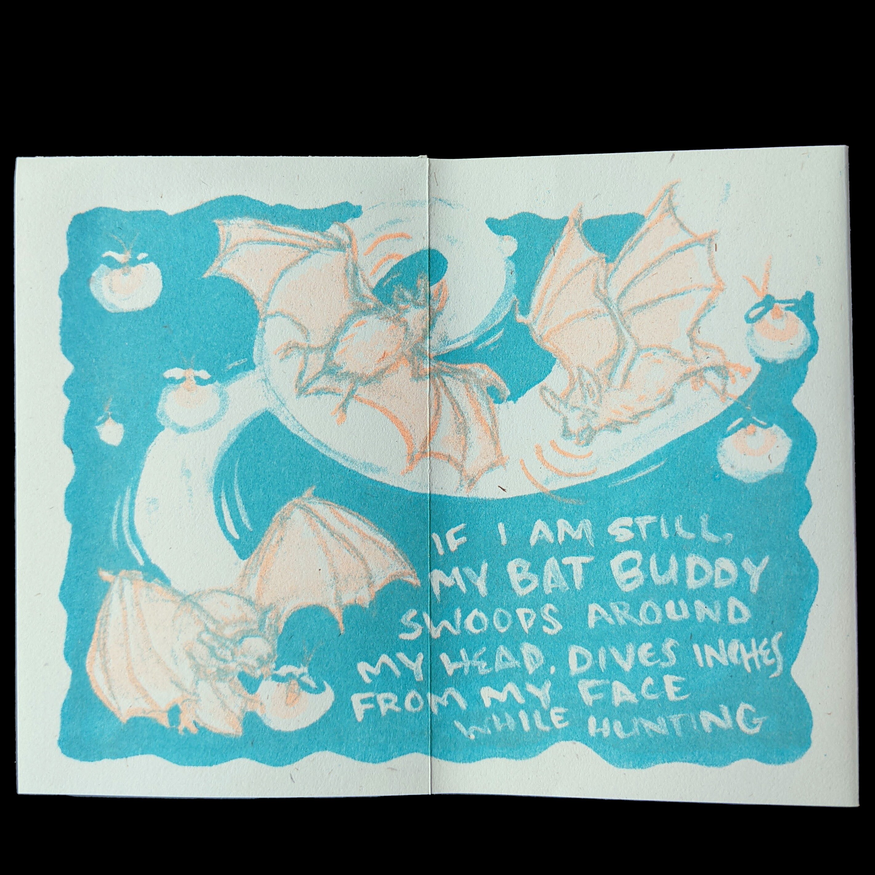Non-human Neighbors Mini Zine VOL 12 - Limited Edition Riso Prints ...