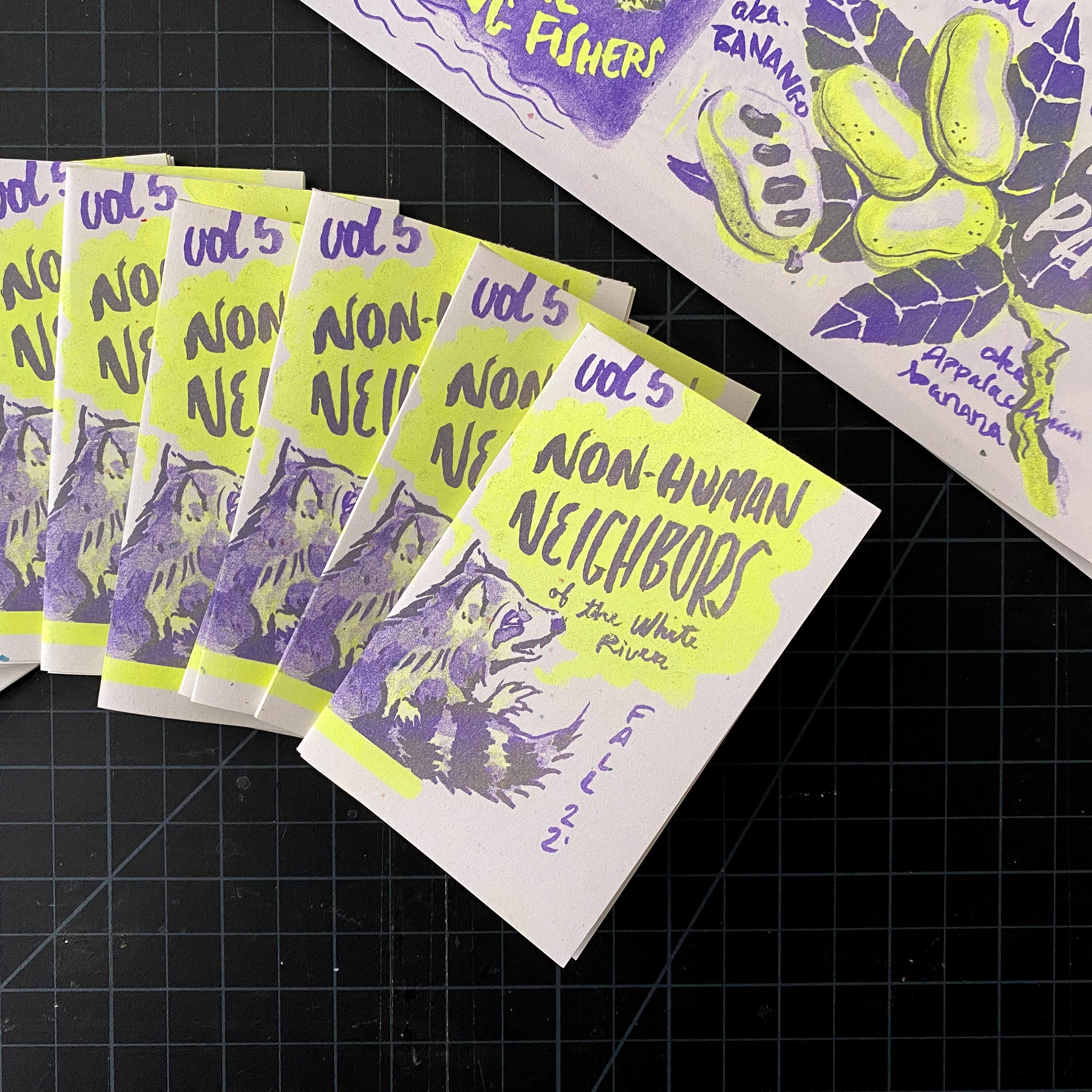 Non-human Neighbors Mini Zine VOL 5 Limited Edition Riso Prints - Etsy