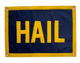 Vintage Inspiried HAIL Wool Felt Wall Pennant
