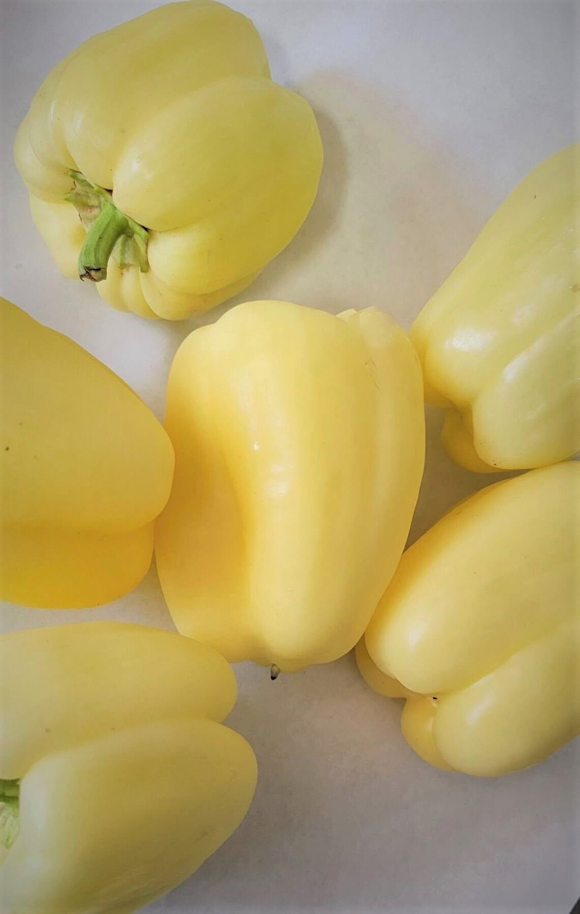 HUNGARIAN PEPPERS friss Feher Paprika White/yellow FRESH Etsy