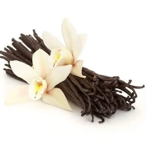 Organic Vanilla Beans * Fresh Whole Grade A Vanilla Pods for Vanilla Extract and Baking * All Natural & Fresh