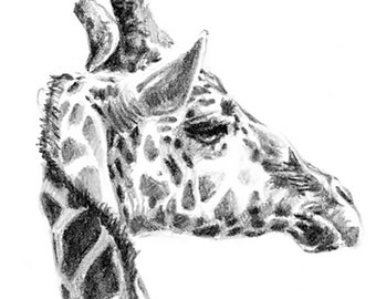 PRINTABLE GIRAFFE DRAWING, African Animal Sketch, Instant Digital Download, Wall Art, Giraffe Lover Gift by artist Kindrie Grove