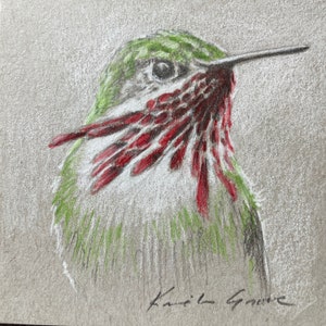 Mini Calliope Hummingbird Drawing: Original Bird Art (4x4 inches) by Kindrie Grove