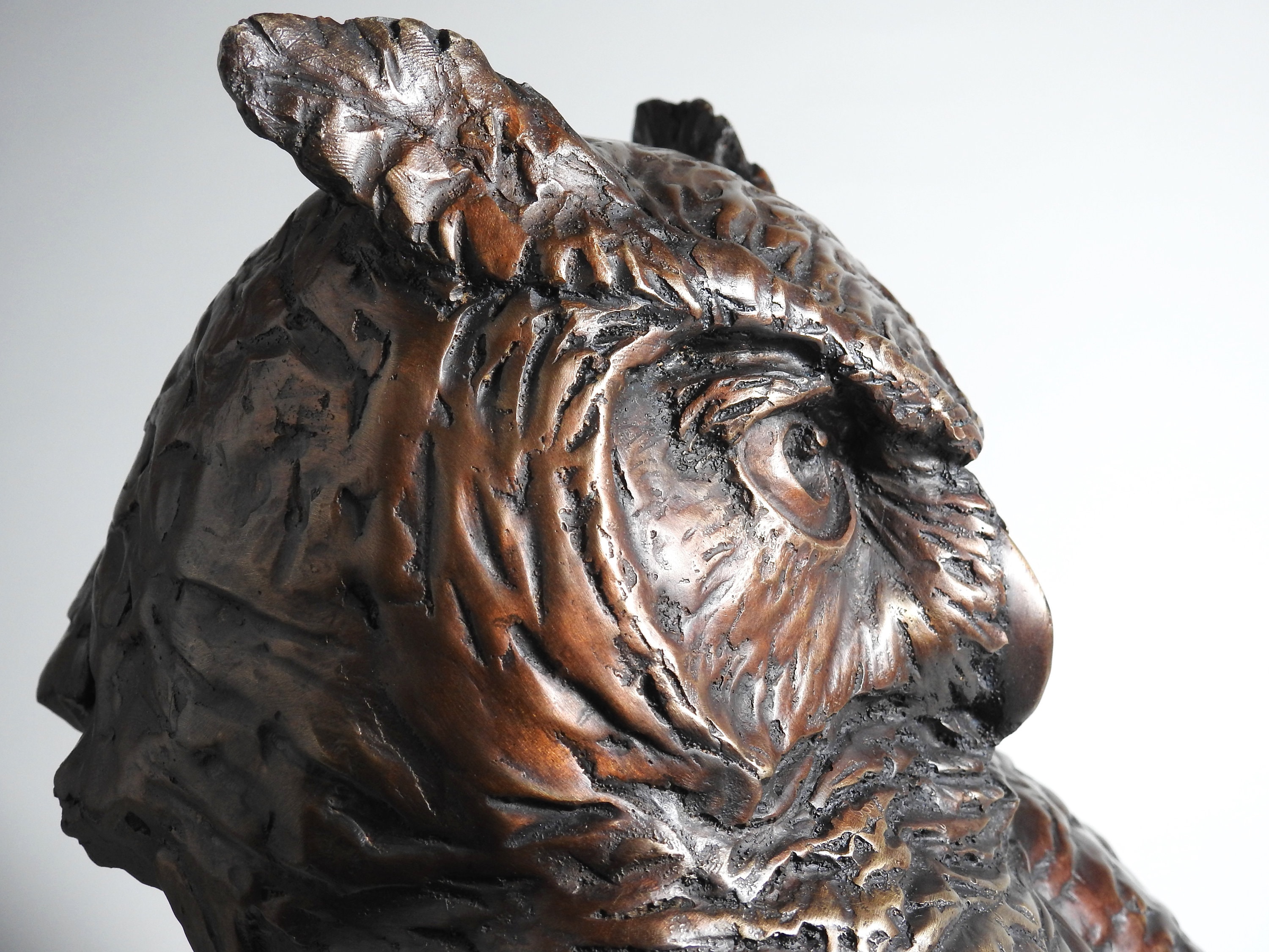 Hand-Cast Bronze Great-Horned Owl Bust Sculpture, "Hunter's Gaze by Kindrie Grove.