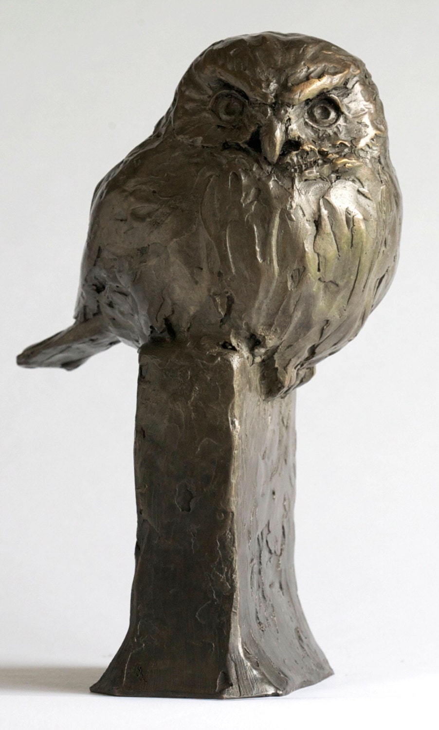 PYGMY OWL SCULPTURE, Fierce One, Northern Pygmy Owl, Original art, cast bronze owl sculpture, owl lo