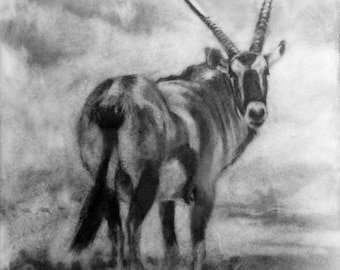AFRICAN ORYX DRAWING, Desert Clown, Original Art, Graphite and Encaustic Antelope by Canadian artist Kindrie Grove