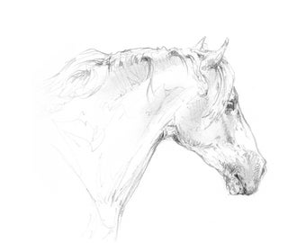 PRINTABLE HORSE SKETCH , Andalusian Drawing, Instant Digital Download, Wall Art, Horse Lover Gift by artist Kindrie Grove