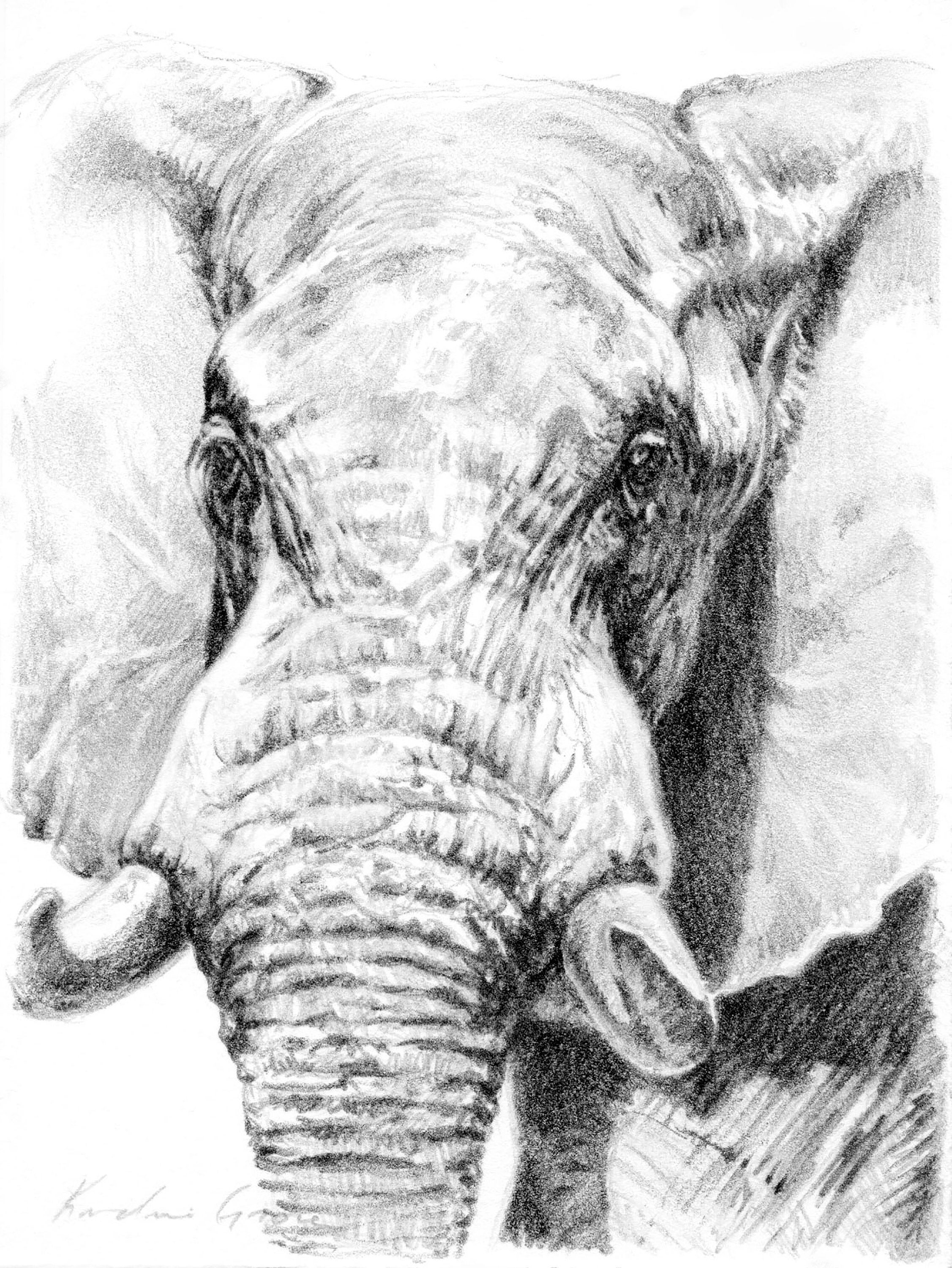 PRINTABLE ELEPHANT DRAWING, African Animal Sketch, Instant Digital Download, Wall Art, Elephant Lover Gift by artist Kindrie Grove