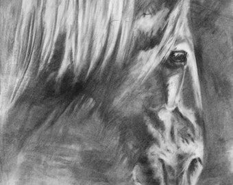 HEAVY HORSE DRAWING, Old Shire, original encaustic and charcoal, Horse Lover Gift by Canadian artist Kindrie Grove