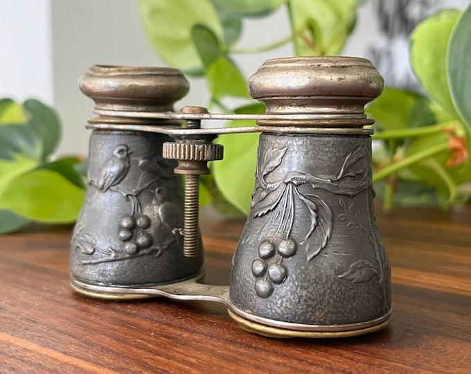 Rustic Decor Vintage Opera Glasses Bird Watching Binoculars Farmhouse Spring Cottage Core Steampunk Antique Collectible Sportiere Paris