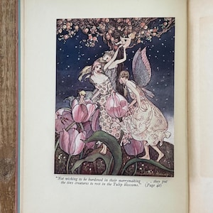 May include: An open book page featuring a color illustration of winged figures among pink tulip blossoms under a starry sky. The text below the image reads: Not wishing to be burdened in their merrymaking . . . they put the tiny creatures to rest in the Tulip blossoms. (Page 42)