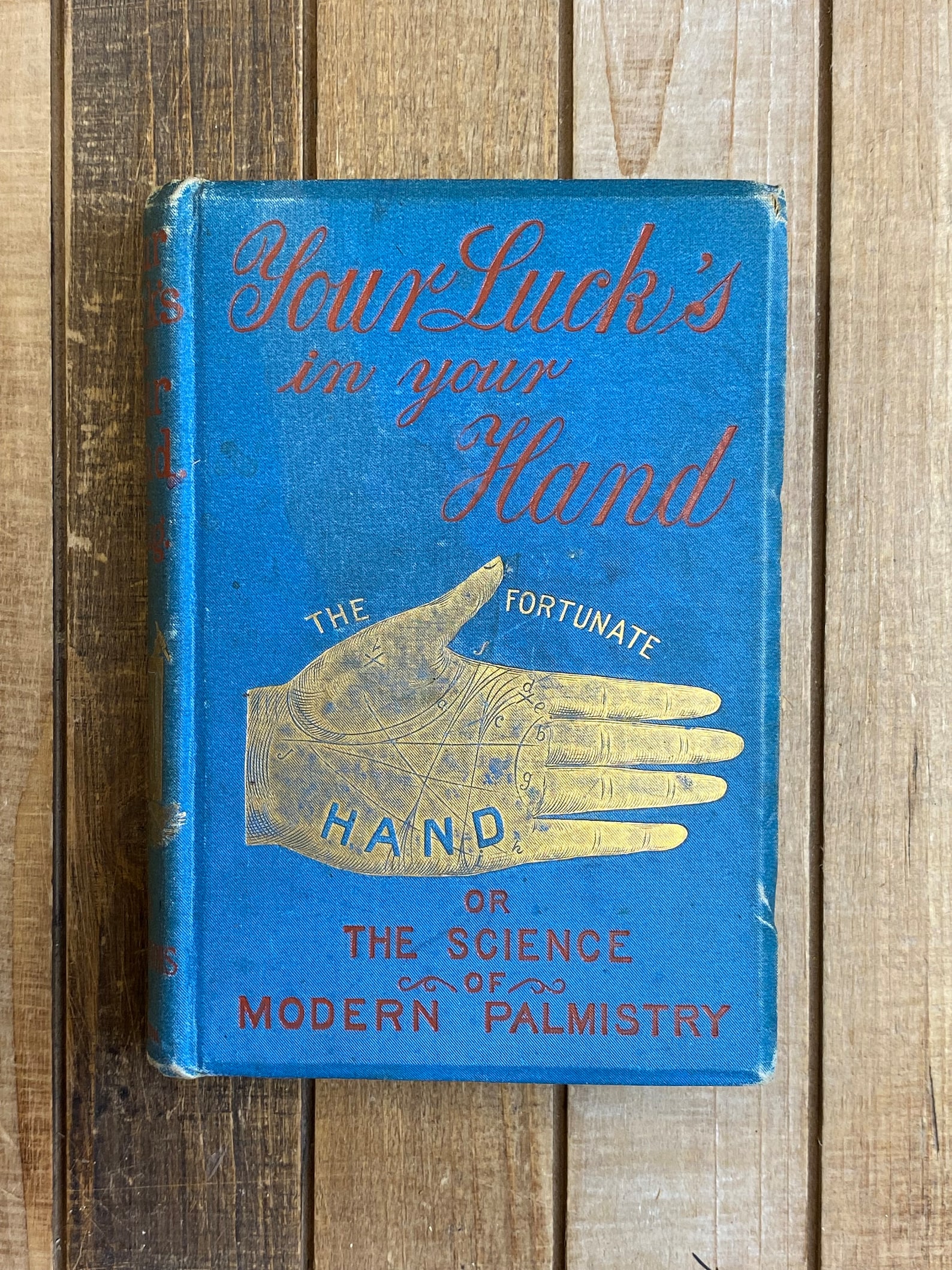 Vintage 1880s Palmistry Book: Illustrated Palm Reading Guide