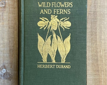 Rare Botany Book | Wild Flowers and Ferns |  Flower Garden Lily Orchids Strawberry Annuals Perennials