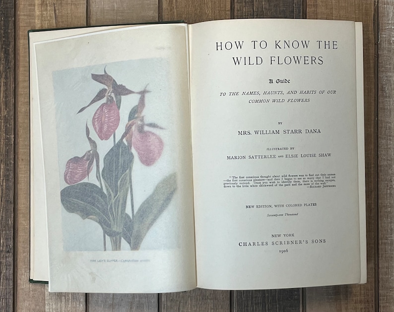 Rare Botany Book How To Know The Wild Flowers Green Home Decor Flower Garden Lily Orchids image 4